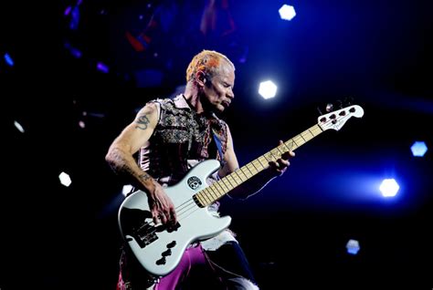 Ranking The Top 25 Bass Players Of All Time Page 9 New Arena