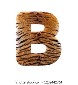 Tiger Letter D Uppercase D Feline Stock Illustration