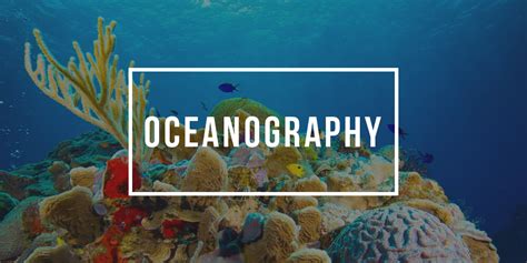 Major In Oceanography Oceanography Degree Programs Plexuss