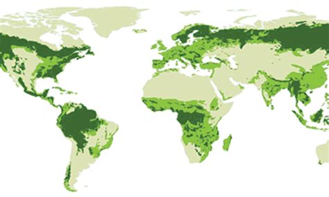 Understanding Global Deforestation Magazine Articles Wwf