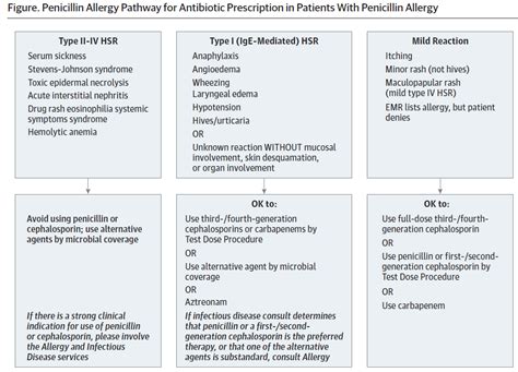 Penicillin Allergy Pathway For Antibiotic Prescription Grepmed