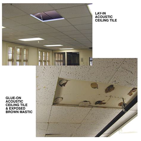 Asbestos Ceiling Tile Identification Home Design Ideas