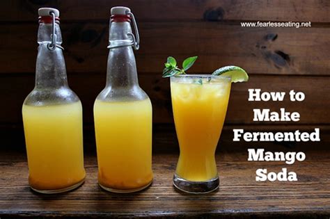 Fermented Mango Soda Recipe