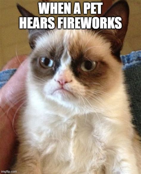 Grumpy Cat Meme Imgflip