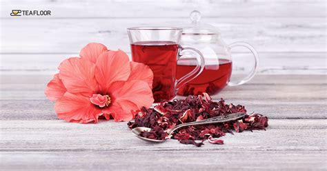 Teafloor Blog Hibiscus Tea Recipe Hibiscus Tea Benefits