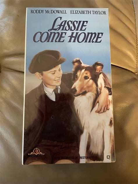 Lassie Come Home Dvd 1943 Roddy Mcdowall Elizabeth Taylor 1943 Ebay
