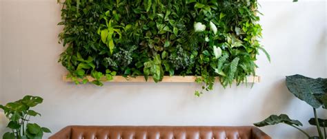 5 Mistakes To Avoid With Indoor Vertical Gardens Custom Home Group