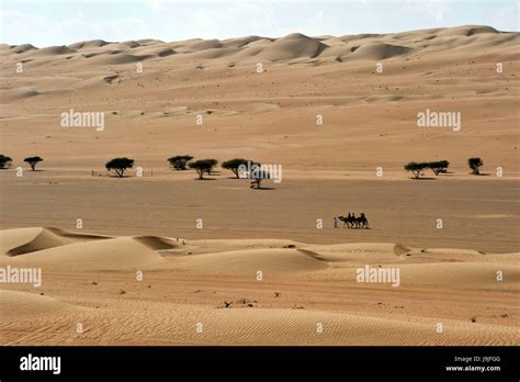 Sultanate Of Oman Ash Sharqiyah Desert Of Wahiba Sands Stock Photo