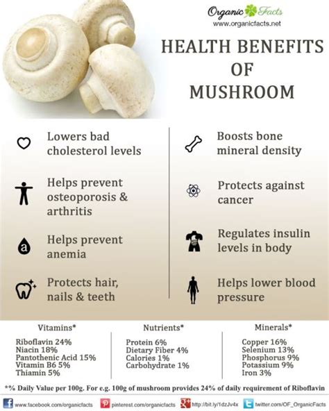 Nutritional Value of Mushrooms | Organic Facts
