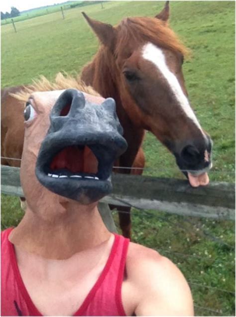 Funny Horse Mask Pictures Funny Horses Funny Pictures Horse Mask