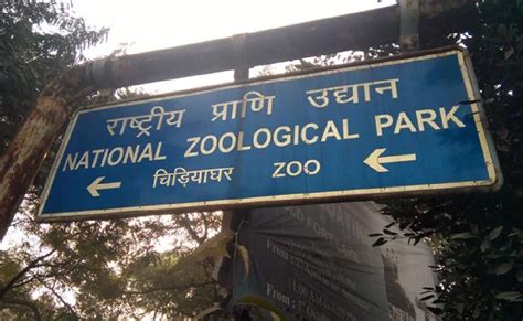 Delhi Zoo To Repen From August 1 In 2 Shifts Timings And Other Details