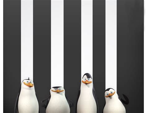 Penguins Of Madagascar Hd Wallpaper Background Image 1920x1200 Id Hot