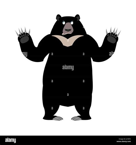 Himalayan Bear Surprise Emotion Wonderl Wild Animal Emoji Black Big
