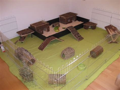 Voraussetzung für eine bewusste stubenreinheit beim meerschweinchen sie können aber durchaus vorsorge treffen, um ihre wohnung sauber zu halten. Gehegesammlung - Seite 4 | Meerschweinchen ...