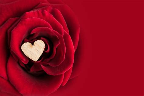 Premium Photo Beautiful Red Rose Valentines Day Background