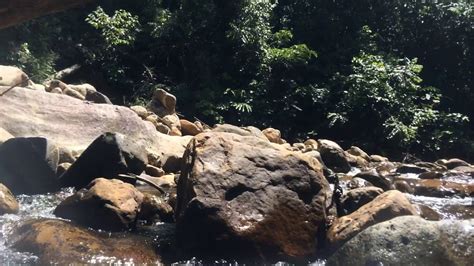 Imbak Canyon Conservation Area (ICCA) - Amazing Gunung ...