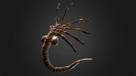 facehugger alien buy royalty free 3d model by zero one designs zodesigns [743b81b