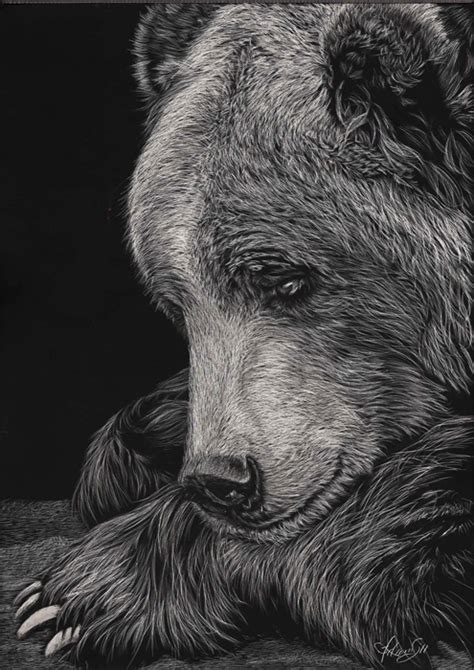Beautiful Scratchboard Portraits Of Animals By Allan Ace Adams Every