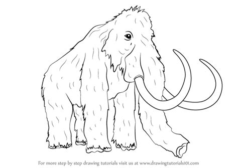 How To Draw A Woolly Mammoth Other Animals Step By Step