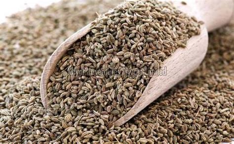 Dried Natural Celery Seeds Ajwain At Best Price In Mira Bhayandar