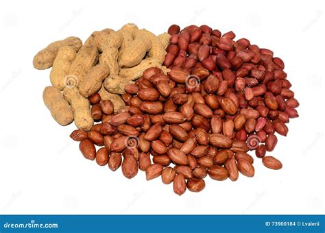 A Bunch Of Peanuts And Unshelled Peanuts Stock Photo Image Of
