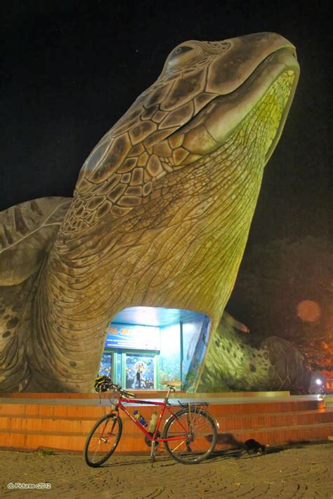 Pada artikel berikut berikut kami telah merangkum kumpulan primbon, firasat. Kura-Kura Ocean Park Jepara | Seputar Semarang