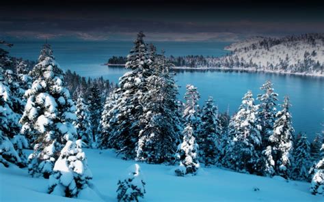 Snowy Fir Trees By The Lake Hd Wallpaper