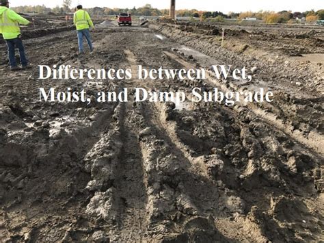 A damp cake possibly not. Wet, Moist and Damp Subgrade - Differences