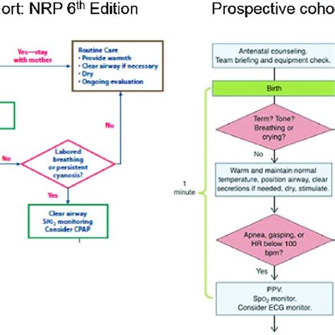 Study Cohorts And Neonatal Resuscitation Program 1 Nrp Algorithms
