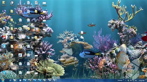 Aquarium Wallpaper Moving Windows 10 Wallpapersafari