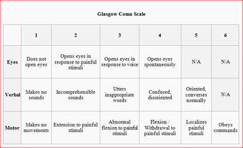 Glasgow Scale Usmle Shortcuts Glasgow Coma Scale Youtube The Scale