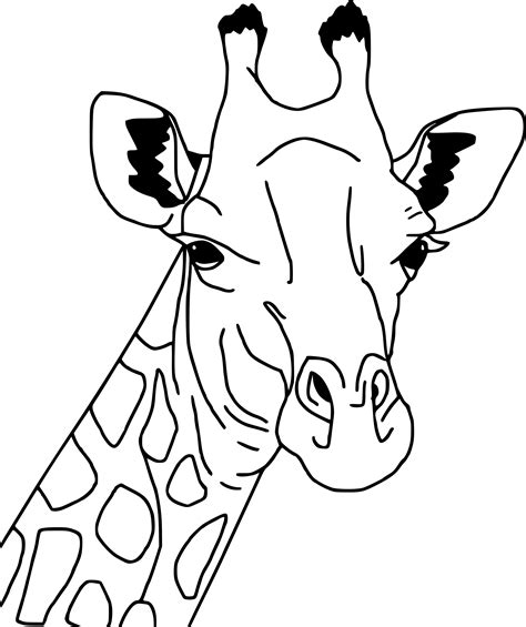 Coloriage Girafe Dessin à Imprimer Sur Coloriages Info