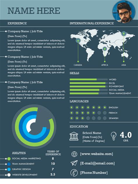 International Infographic Resume