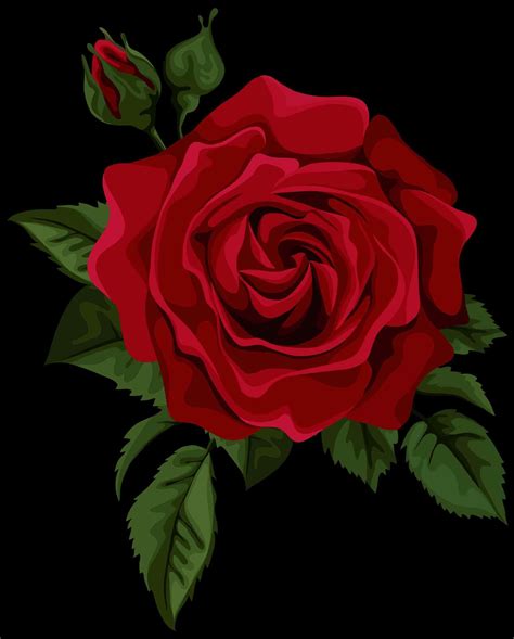 Red Rose Painting Png Use The Paint Collection Feature And Change The