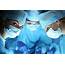 Minimally Invasive Surgery  The Center
