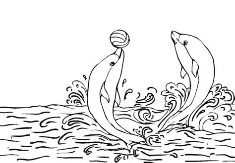 Dolphin Coloring Page And Coloring Book 6000 Coloring Pages