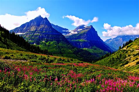 Spring Mountains Landscapes Sky Clouds Flowers Grass Green Plants Hills