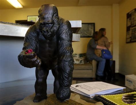 Ivan The Gorilla To Be Honored With Sculpture At Point Defiance The