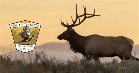 The 2023 South Dakota Elk And Bighorn Sheep Application Period Breaks