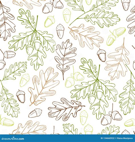 Vector Seamless Pattern With Hand Drawn Oak Leaves And Acorns Stock