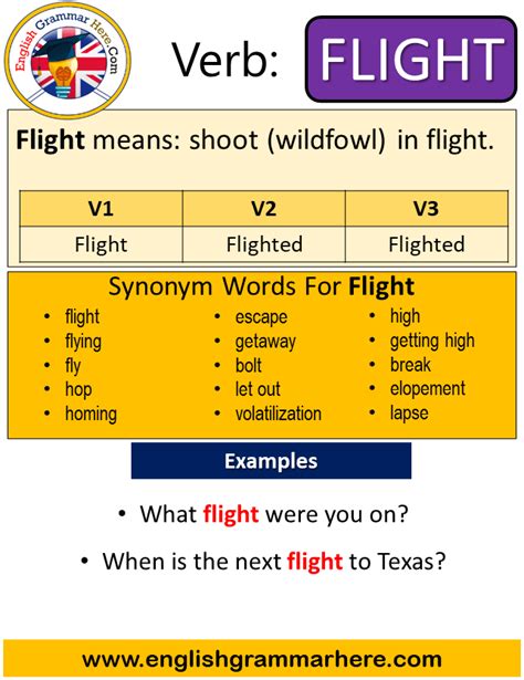 Fly Past Participle Tense Example Sentences Of The Verb Fly For Esl