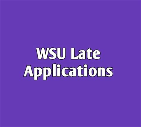 Wsu Is Now Open For Late Applications · Varsity Wise🎓