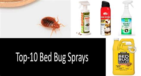Top 10 Bed Bug Sprays Updated 2020 Buyers Guide