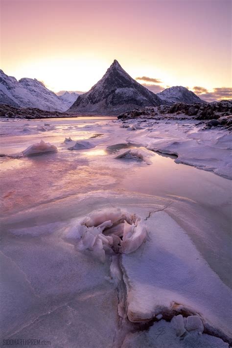 In Lofoten Norway At Dawn The Sky Has A Pink Hue I Noticed This