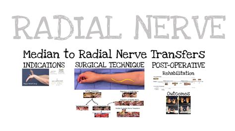 Nerve Transfers For Radial Nerve Injuries Feat Dr Mackinnon Youtube