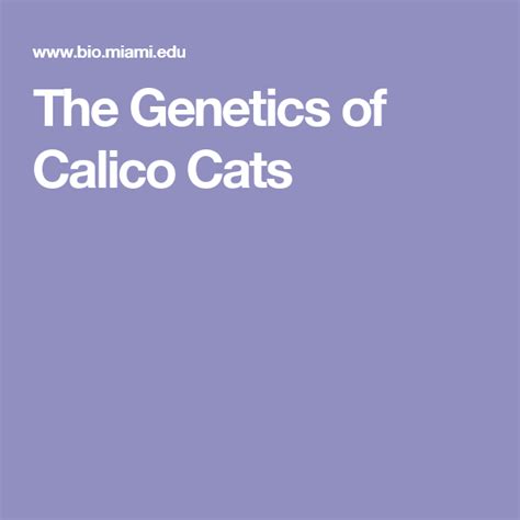 The Genetics Of Calico Cats Calico Calico Cat Cats