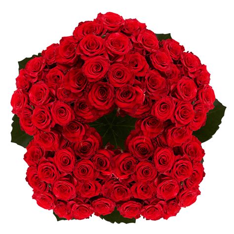 Buy Dark Red Roses In 2021 Dark Red Roses Wholesale Flowers Red Roses