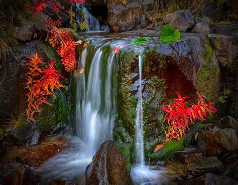 Waterfall Nature Colorful Leaves Moss Red Landscape