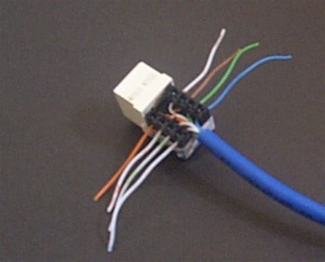Make sure that when you do this the clip is facing away from you. Modular Jack Wiring Jack Pins Numbered | wiring radar