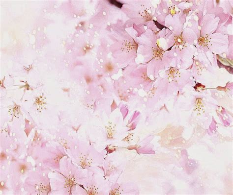 Free Download Nice Flowers Background 3d Wallpapers Hd Cherry Blossom